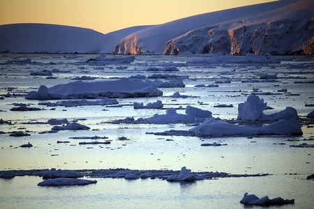 南极洲半岛海面上的浮冰图片