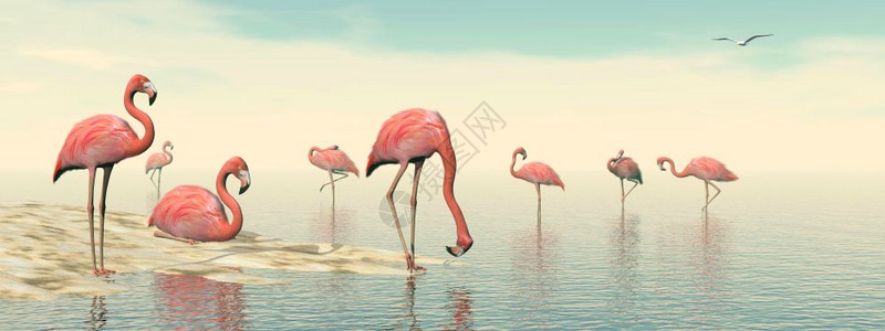 使成为光天化日在海滩上由粉红火烈鸟3D制成的粉红色火烈鸟水动物群图片