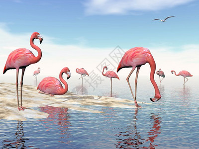 野生动物经过光天化日在海滩上由粉红火烈鸟3D制成的粉红色火烈鸟美丽的图片