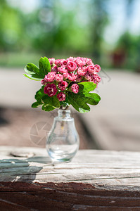 一个小玻璃瓶里的粉红小玫瑰花园开束图片