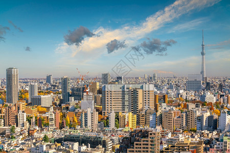 日本东京建筑风景图片