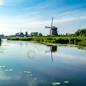 绿色荷兰典型风景的公园图片