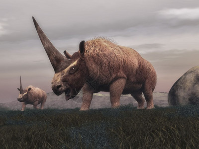 哺乳动物恐龙在草原上行走由云端的一天3D化成驼膜哺乳动物恐龙3D化成史前景观步行图片