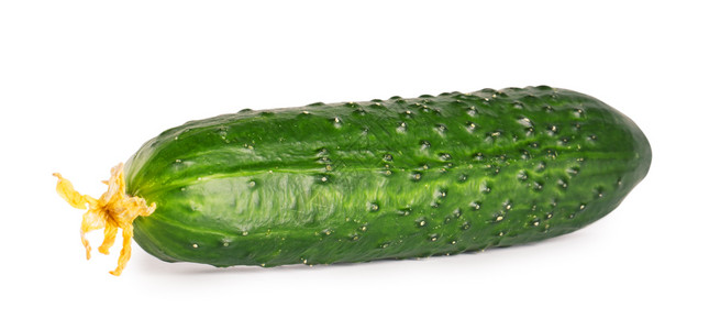 健康新鲜的多汁绿色新鲜黄瓜在白色背景上被隔离的青鲜果黄瓜图片