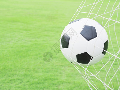 玩场地橄榄足球在目标网中有绿草地背景胜利图片