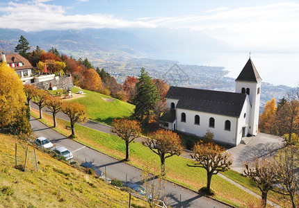 霞多丽落下海岸Chardonne镇对瑞士日内瓦湖高清图片