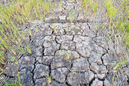 干旱热的农村地区土裂口clay沙漠质地土壤图片