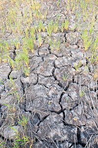 裂缝泥农村地区土的裂口clay沙漠质地气候图片