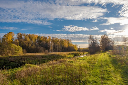 跑步美丽的秋天风景沿一条小河的草道沿着俄罗斯的小河天空水图片