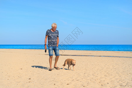 Corsica海滩景观东岸有人和狗步行科西嘉岛法国图片