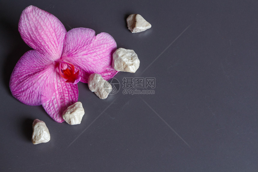 禅石头粉红兰花和白宝石作为温泉的装饰品了图片