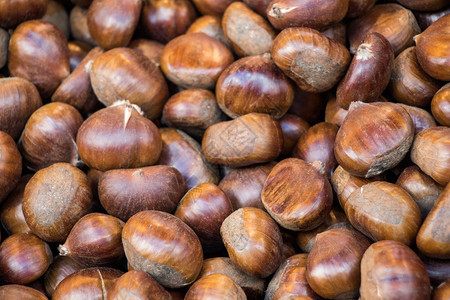 素食主义者秋天物背景的栗子肥料棕色贝壳图片