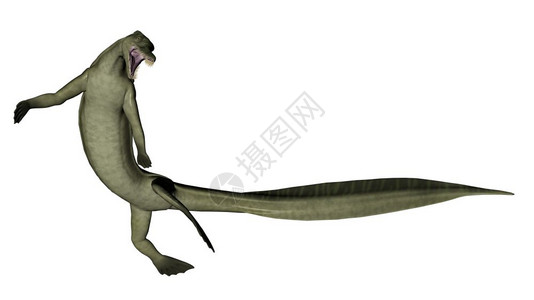 形象的爬虫史前白背景的米松恐龙三维转化图片