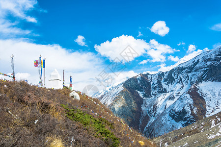 美丽的雪山和草地图片