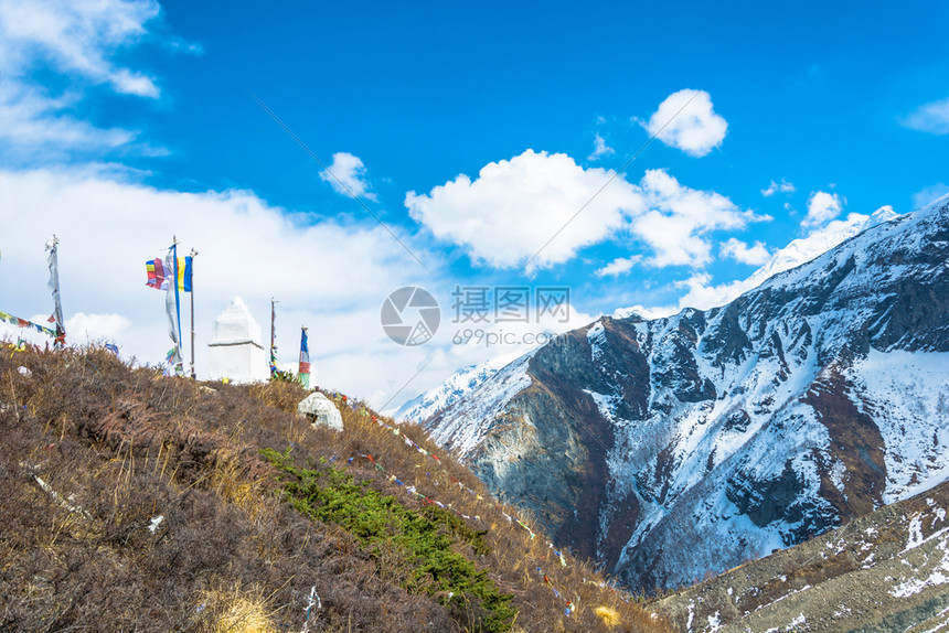 美丽的雪山和草地图片