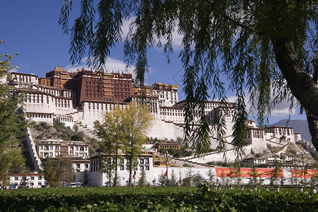 中华人民佛教喜马拉雅山高清图片