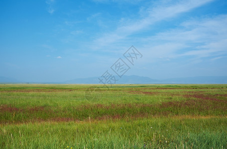 旅行荒野巴尔古津在俄罗斯布亚提的巴古津山谷地背景上草原图片