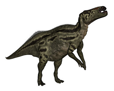 怪物史前白背景中孤立的山东龙恐3D形成山东恐3D生成的D插图图片