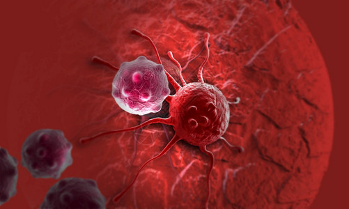胃卫生保健以3D软件制成的癌细胞美丽图片