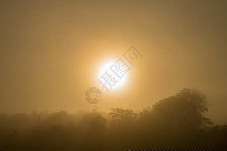 日出时雾密闭黄色的太阳光图片