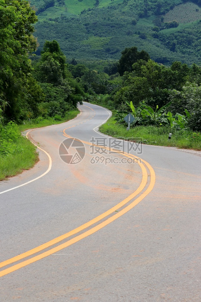 树具有热带绿林的农村道路曲线景观森林图片