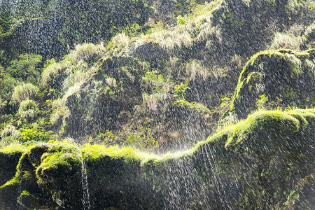 自然摘要背景的绿苔瀑水作为自然抽象背景的摘要积聚门户14绿色图片