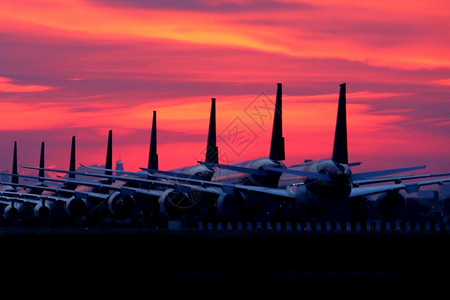 空中背景美丽的飞机在场停坪的景象航空公司旅游运图片