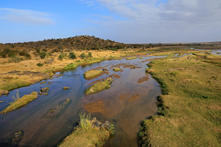 稀树草原南非克鲁格公园KrugerNationPark寡头人河景观图小心旅行图片
