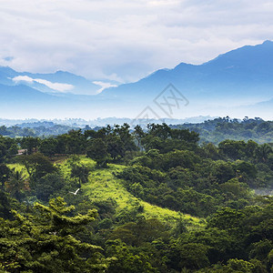 植被古老的外部墨西哥恰帕斯的森林风景与山岳交汇于墨西哥恰帕斯图片