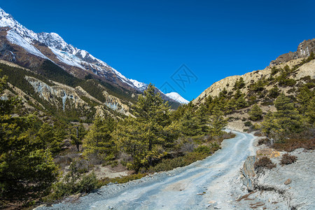 天空喜马拉雅山路在尼泊尔桑春日的喜马拉雅山上春天美丽的图片