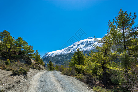 冒险景观亚洲喜马拉雅山路在尼泊尔桑春日的喜马拉雅山上图片