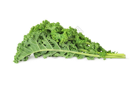 新鲜绿色的甘蓝叶子白色背景上的蔬菜被隔绝生饮食克罗波托夫图片