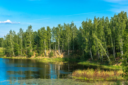 美丽的风景与一个小湖在阳光明媚的夏日俄罗斯池塘晴天空图片