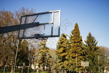 篮子在游乐场上后面有大树横向图象竞赛橙篮板图片