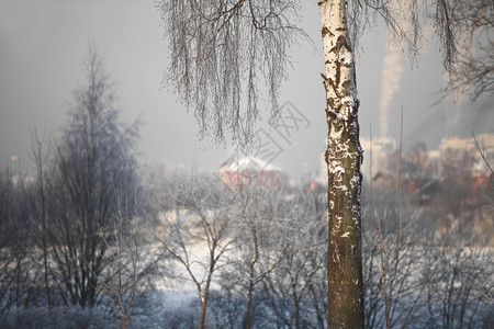 孤独寒冬季风景区图片