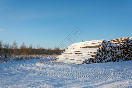 木材自然树大堆雪覆盖了路边的木头在明晴冬季白天背景图片