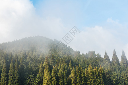 荒野山林图片