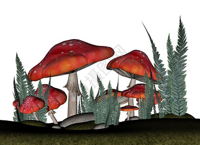 有毒红藻类蘑菇和在白色背景中隔离的植物3D使红豆类蘑菇变成3D鹅膏菌插图图片