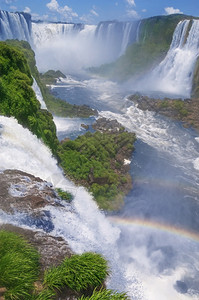 植物巴西和阿根廷边界上著名的伊瓜祖瀑布IguazuFalls绿色伊瓜苏图片
