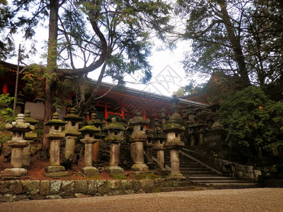 老的卡苏加神社周围的石灯纳拉日本人著名的图片