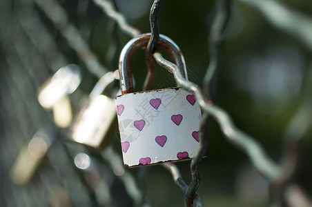 栅栏在橱柜上贴近象征着永久的爱在桥墙上浪漫情人节图片