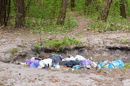 浪费树林里的生活垃圾人本树林里生活垃圾环境拒绝图片