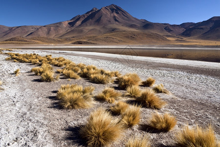 风景智利北部阿塔卡马沙漠安第斯山脉的顶高原上LagunaMiscanti和MinidquesVolcano高地艾伦风景优美图片