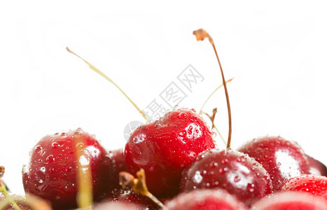 白色背景的红樱桃食物成熟颜色图片