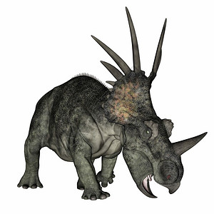 史前喇叭铁龙恐站在白色背景的恐龙3D转化使成为图片
