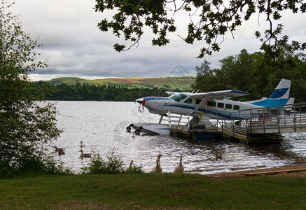 卡梅伦湾苏格兰洛克蒙湖岸水力飞机和鸭子的风景分支机构螺旋桨苏格兰人图片