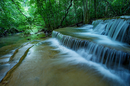 流动的石灰水滴落于哈瓦马卡明公园的甘沙努里塔伊兰树深的图片