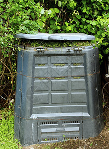 生物旧肮脏的垃圾桶和腐烂草绿色废料图片