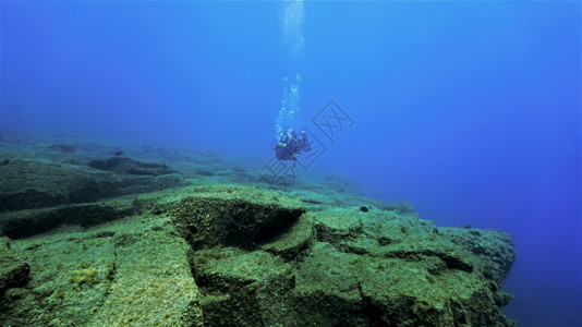 冒险清除在边缘的Scuba潜水鱼图片