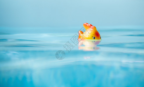 复制服用可爱玩具鱼在浅深的田地游泳池内洗澡乐趣图片